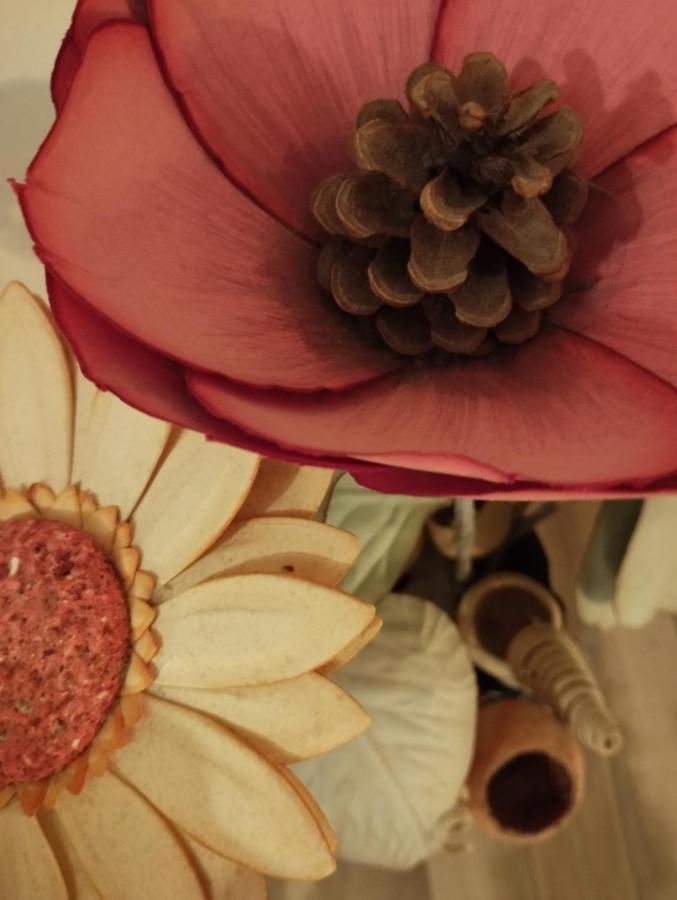 A Casa Di Esther Bologna Kültér fotó